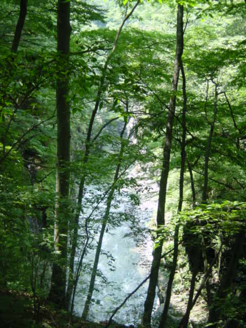 Dsc02446